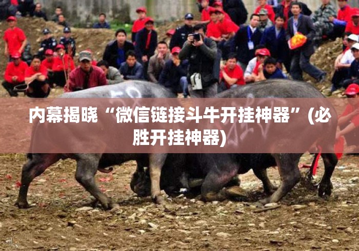 内幕揭晓“微信链接斗牛开挂神器	”(必胜开挂神器)
