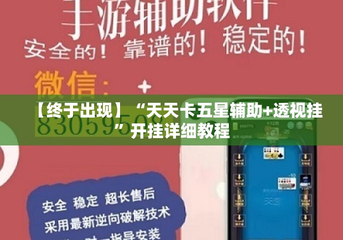 【终于出现】“天天卡五星辅助+透视挂”开挂详细教程