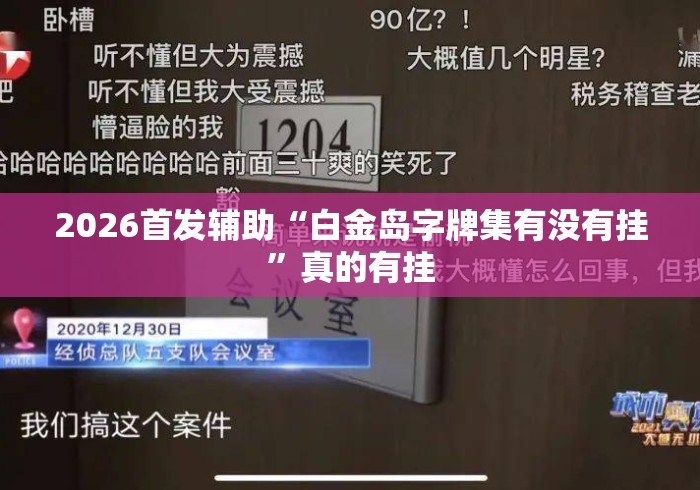 2026首发辅助“白金岛字牌集有没有挂”真的有挂