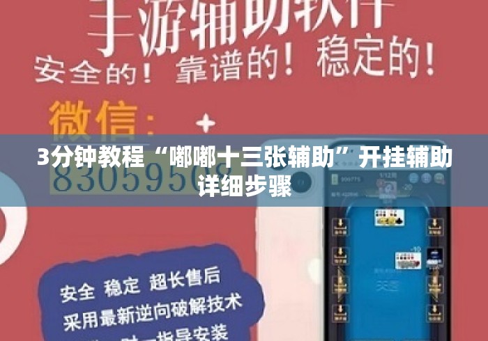 3分钟教程“嘟嘟十三张辅助”开挂辅助详细步骤