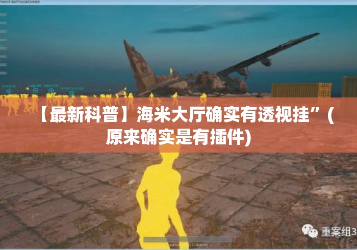 【最新科普】海米大厅确实有透视挂”(原来确实是有插件)