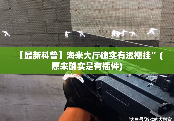 【最新科普】海米大厅确实有透视挂”(原来确实是有插件)