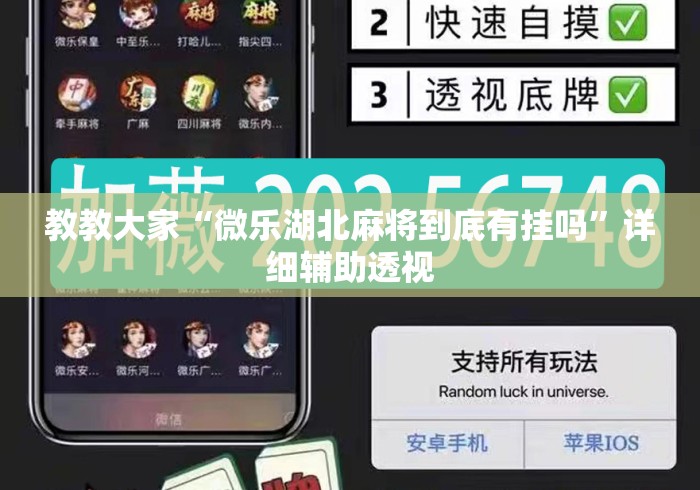 教教大家“微乐湖北麻将到底有挂吗”详细辅助透视