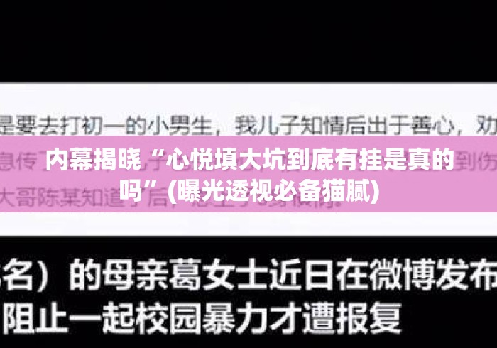 内幕揭晓“心悦填大坑到底有挂是真的吗	”(曝光透视必备猫腻)