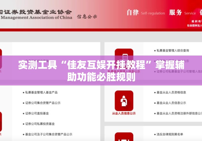 实测工具“佳友互娱开挂教程”掌握辅助功能必胜规则