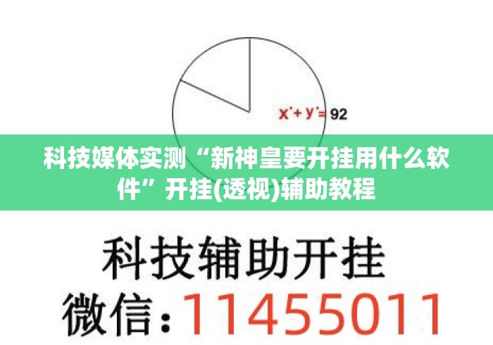 科技媒体实测“新神皇要开挂用什么软件	”开挂(透视)辅助教程