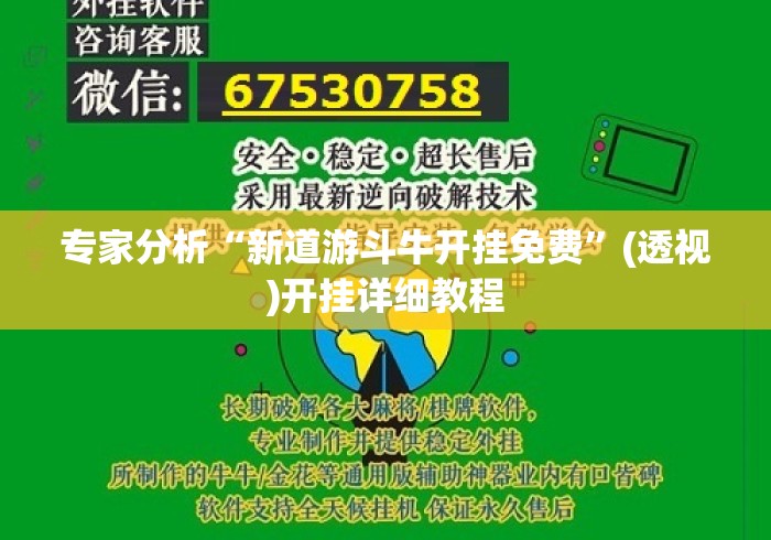 专家分析“新道游斗牛开挂免费”(透视)开挂详细教程