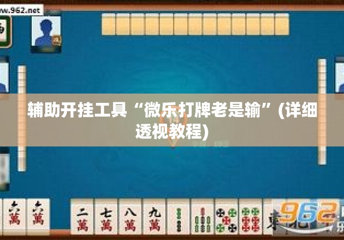 辅助开挂工具“微乐打牌老是输	”(详细透视教程)