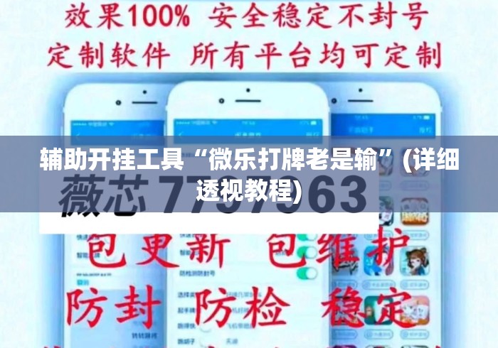 辅助开挂工具“微乐打牌老是输”(详细透视教程)