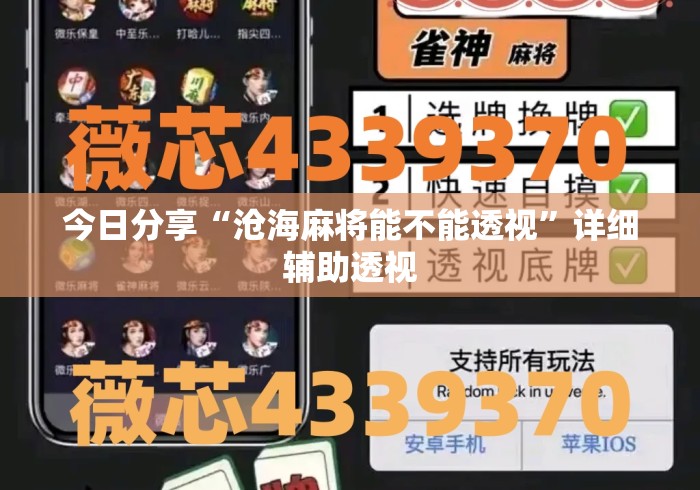今日分享“沧海麻将能不能透视”详细辅助透视