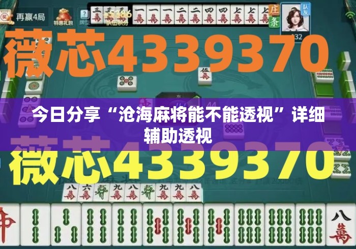 今日分享“沧海麻将能不能透视	”详细辅助透视