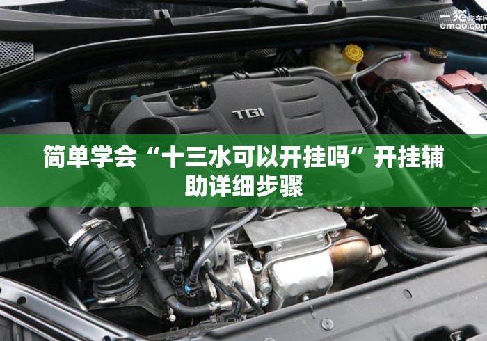 简单学会“十三水可以开挂吗”开挂辅助详细步骤