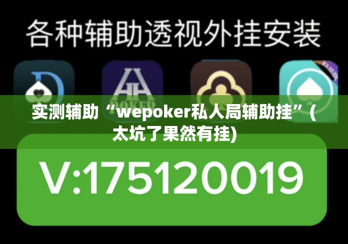 实测辅助“wepoker私人局辅助挂”(太坑了果然有挂)