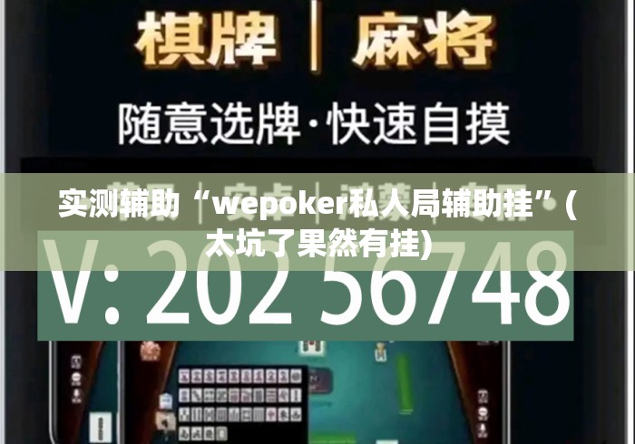 实测辅助“wepoker私人局辅助挂	”(太坑了果然有挂)