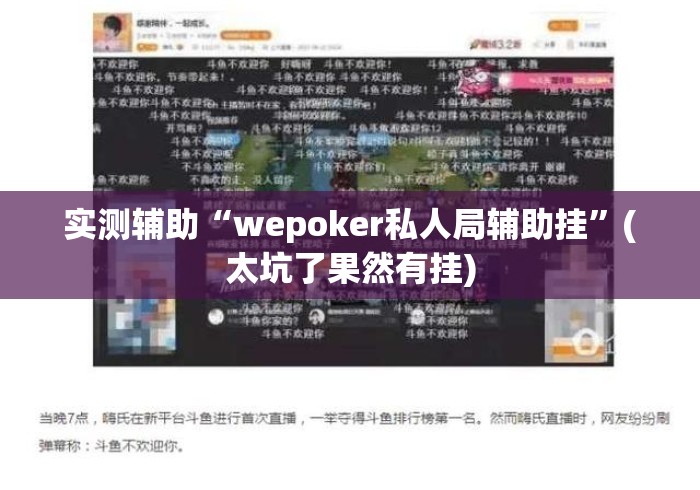 实测辅助“wepoker私人局辅助挂”(太坑了果然有挂)
