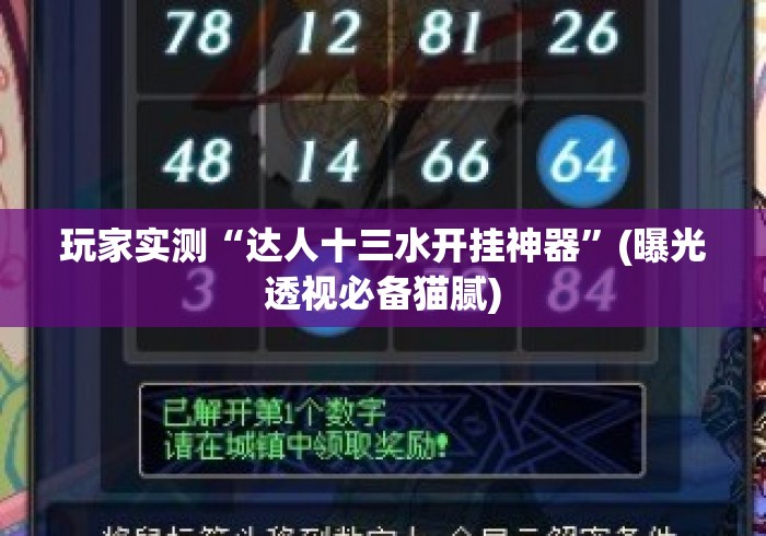 玩家实测“达人十三水开挂神器”(曝光透视必备猫腻)
