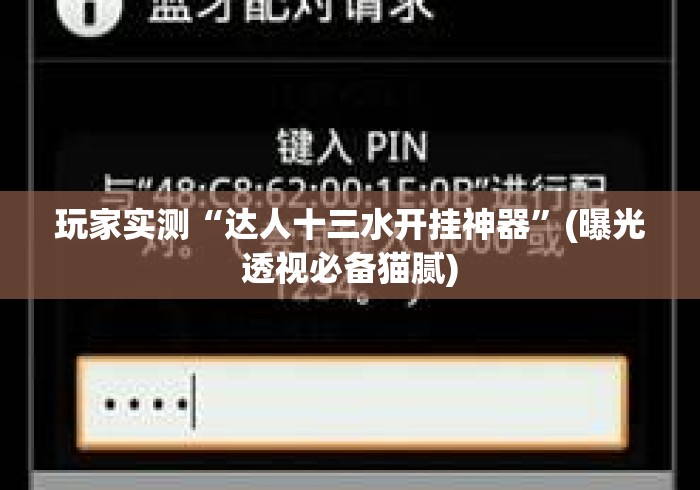 玩家实测“达人十三水开挂神器”(曝光透视必备猫腻)