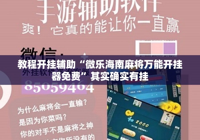 教程开挂辅助“微乐海南麻将万能开挂器免费	”其实确实有挂