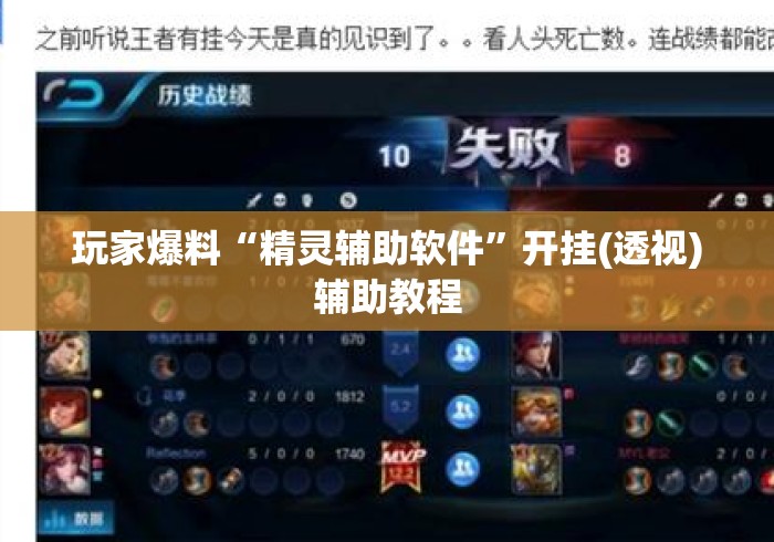 玩家爆料“精灵辅助软件	”开挂(透视)辅助教程