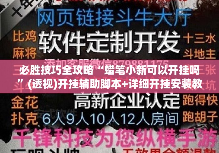 必胜技巧全攻略“蜡笔小新可以开挂吗”(透视)开挂辅助脚本+详细开挂安装教程