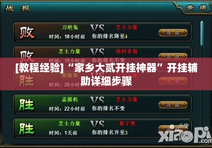 [教程经验]“家乡大贰开挂神器	”开挂辅助详细步骤