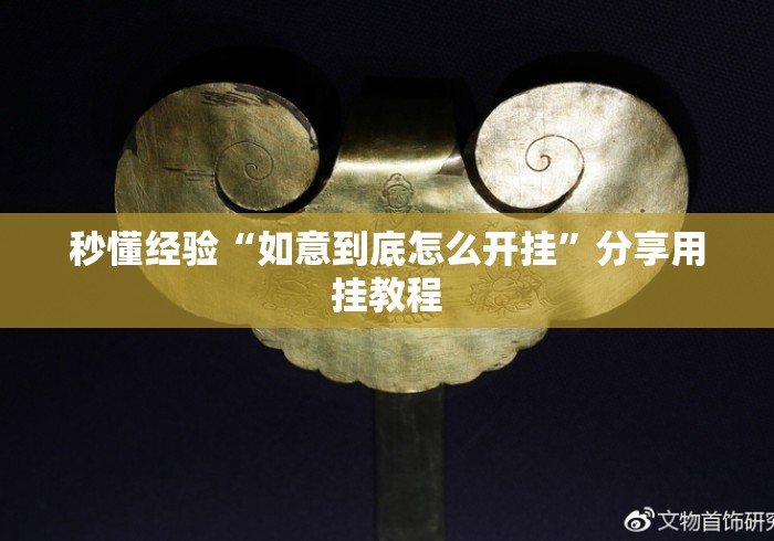 秒懂经验“如意到底怎么开挂”分享用挂教程