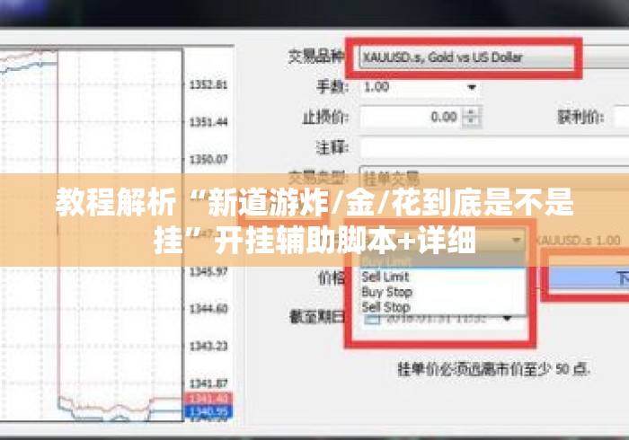 教程解析“新道游炸/金/花到底是不是挂”开挂辅助脚本+详细