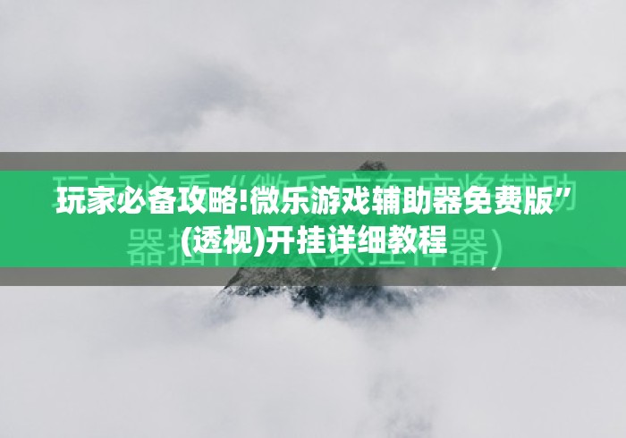 玩家必备攻略!微乐游戏辅助器免费版”(透视)开挂详细教程