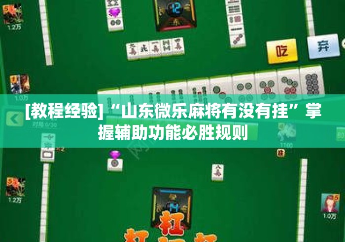 [教程经验]“山东微乐麻将有没有挂”掌握辅助功能必胜规则
