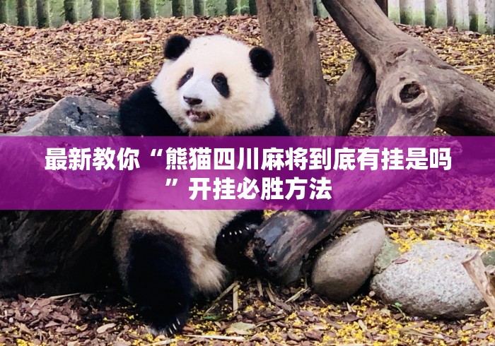 最新教你“熊猫四川麻将到底有挂是吗”开挂必胜方法