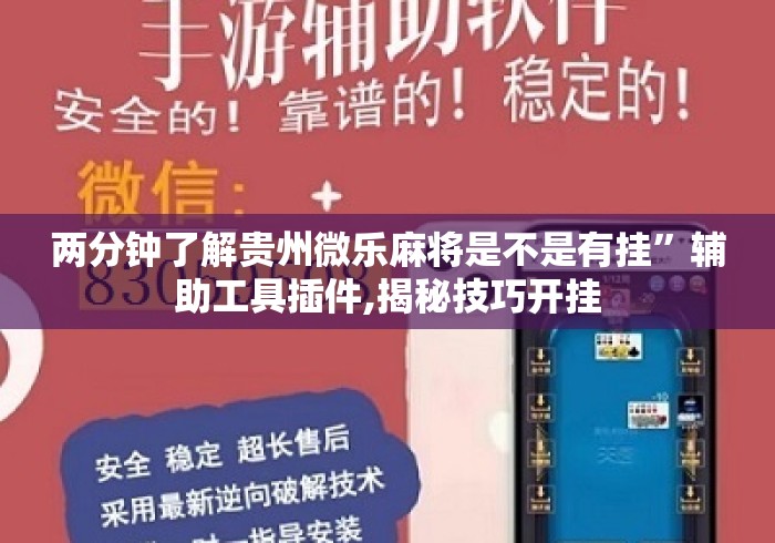 两分钟了解贵州微乐麻将是不是有挂”辅助工具插件,揭秘技巧开挂