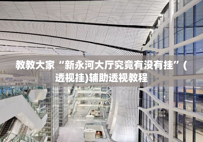 教教大家“新永河大厅究竟有没有挂”(透视挂)辅助透视教程