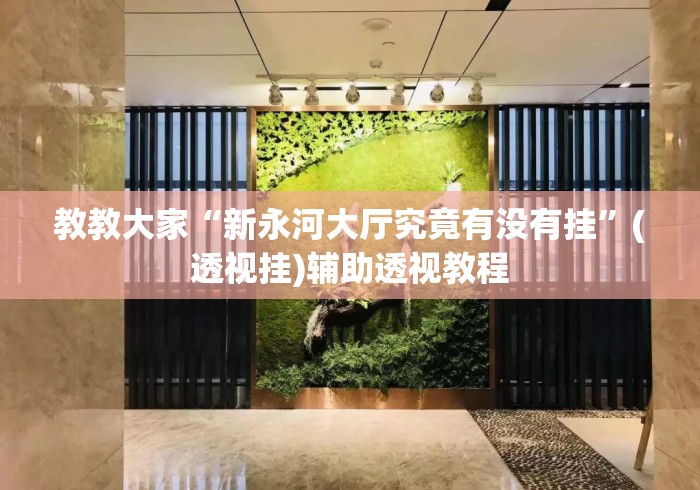 教教大家“新永河大厅究竟有没有挂”(透视挂)辅助透视教程