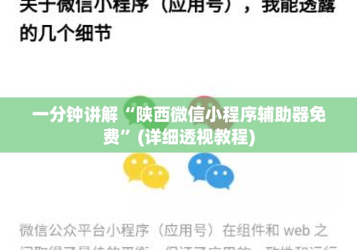 一分钟讲解“陕西微信小程序辅助器免费	”(详细透视教程)