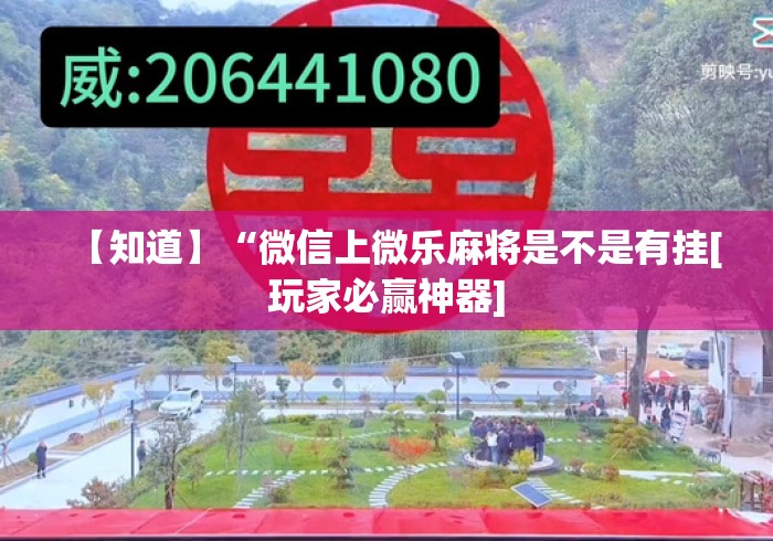 秒懂经验“陕西微乐麻将挂”(确实真的有挂)