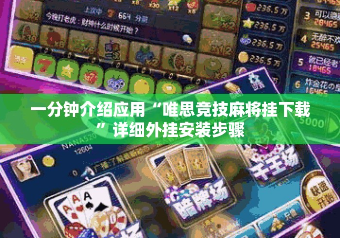 一分钟介绍应用“唯思竞技麻将挂下载”详细外挂安装步骤