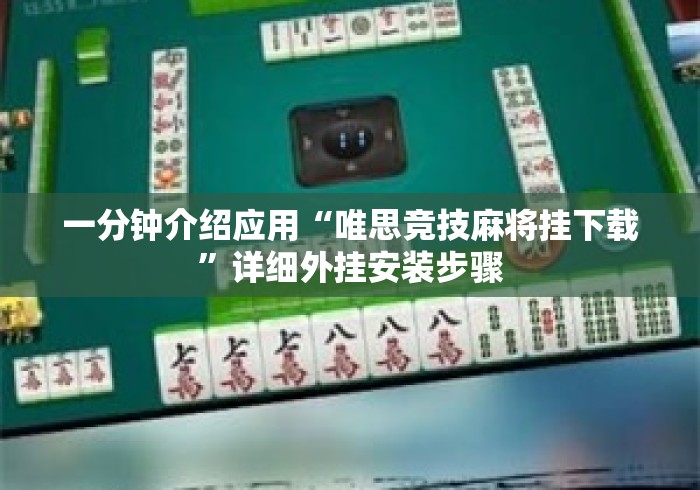 一分钟介绍应用“唯思竞技麻将挂下载”详细外挂安装步骤