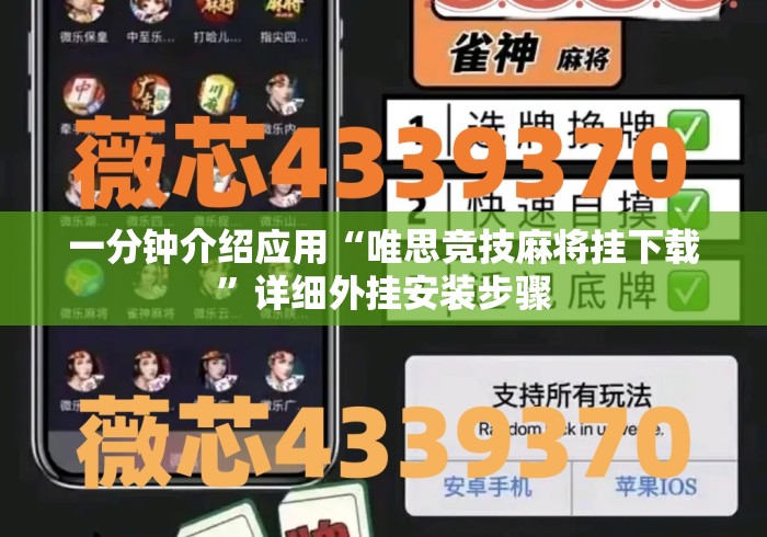 一分钟介绍应用“唯思竞技麻将挂下载	”详细外挂安装步骤