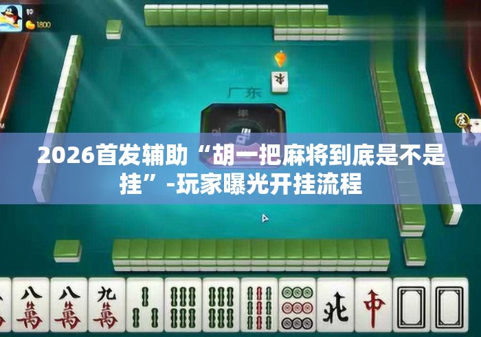 2026首发辅助“胡一把麻将到底是不是挂	”-玩家曝光开挂流程