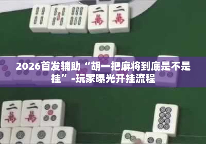 2026首发辅助“胡一把麻将到底是不是挂”-玩家曝光开挂流程