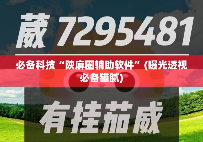 必备科技“陕麻圈辅助软件”(曝光透视必备猫腻)