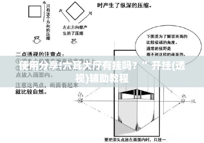 使用分享!六耳大厅有挂吗？”开挂(透视)辅助教程