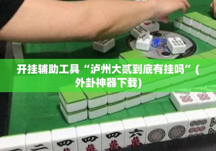 开挂辅助工具“泸州大贰到底有挂吗”(外卦神器下载)