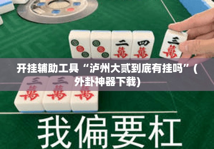 开挂辅助工具“泸州大贰到底有挂吗”(外卦神器下载)