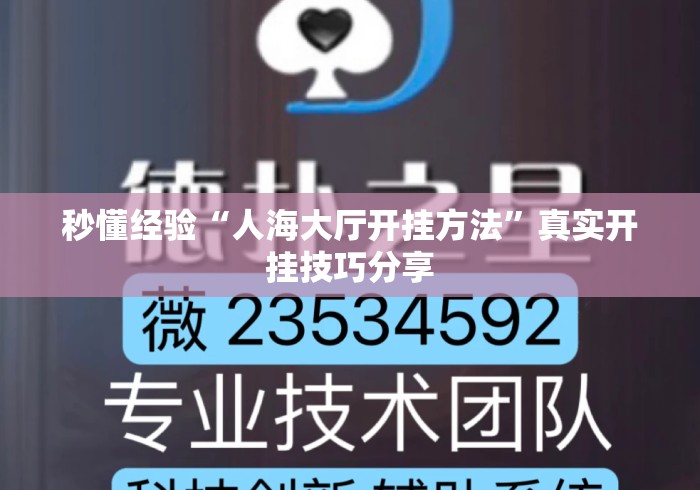 秒懂经验“人海大厅开挂方法”真实开挂技巧分享