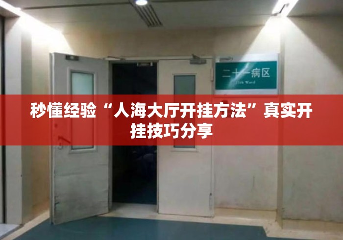 秒懂经验“人海大厅开挂方法	”真实开挂技巧分享