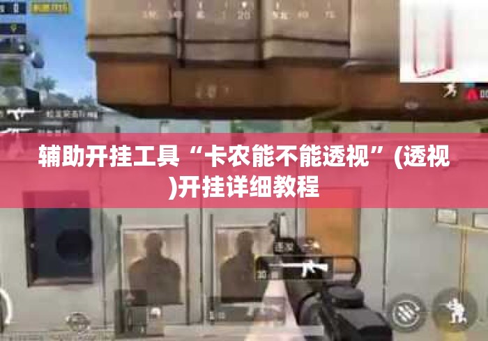 辅助开挂工具“卡农能不能透视”(透视)开挂详细教程