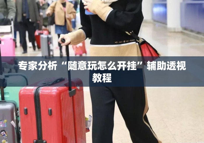 专家分析“随意玩怎么开挂”辅助透视教程