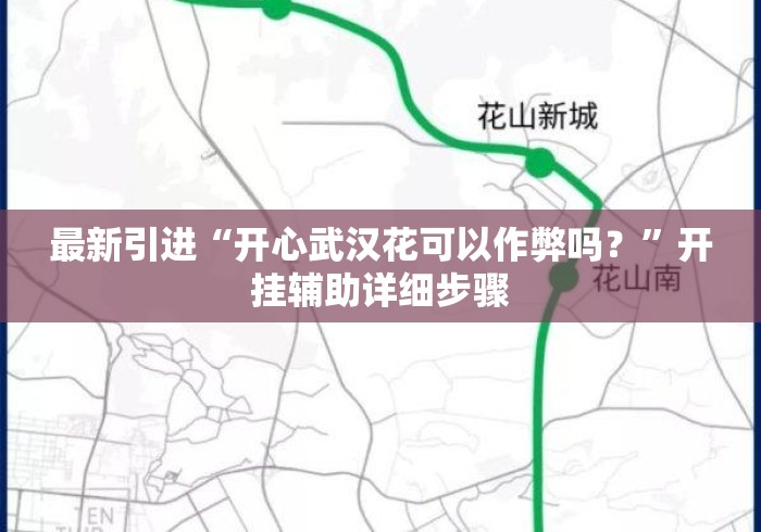 最新引进“开心武汉花可以作弊吗？”开挂辅助详细步骤