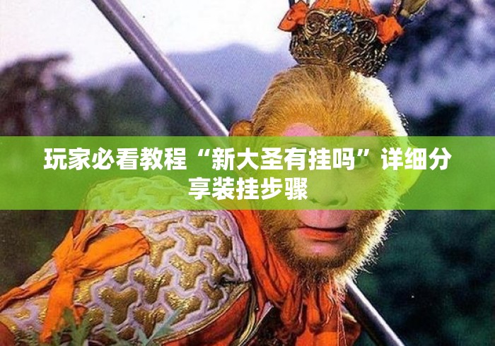 玩家必看教程“新大圣有挂吗”详细分享装挂步骤